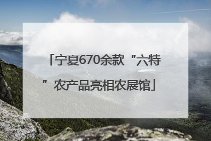 宁夏670余款“六特”农产品亮相农展馆