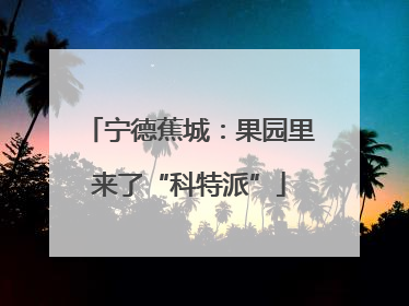 宁德蕉城：果园里来了“科特派”