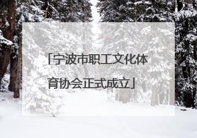 宁波市职工文化体育协会正式成立