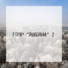 守护“海底雨林”