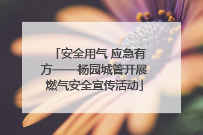 安全用气 应急有方——杨园城管开展燃气安全宣传活动
