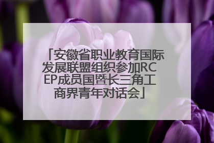 安徽省职业教育国际发展联盟组织参加RCEP成员国暨长三角工商界青年对话会