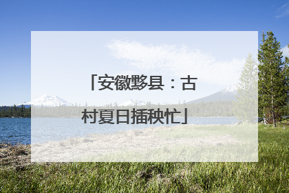 安徽黟县：古村夏日插秧忙