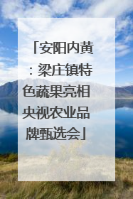 安阳内黄：梁庄镇特色蔬果亮相央视农业品牌甄选会