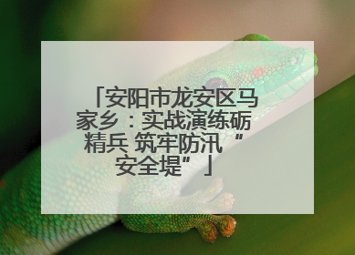 安阳市龙安区马家乡：实战演练砺精兵 筑牢防汛“安全堤”