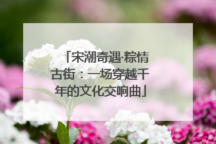 宋潮奇遇·粽情古街：一场穿越千年的文化交响曲