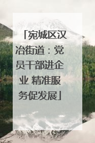 宛城区汉冶街道：党员干部进企业 精准服务促发展