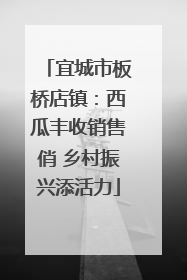 宜城市板桥店镇：西瓜丰收销售俏 乡村振兴添活力