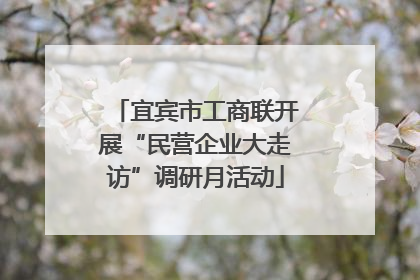 宜宾市工商联开展“民营企业大走访”调研月活动