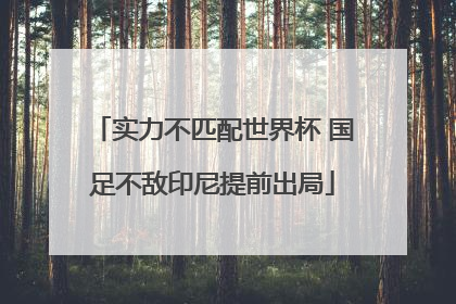 实力不匹配世界杯 国足不敌印尼提前出局