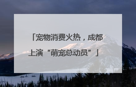 宠物消费火热，成都上演“萌宠总动员”