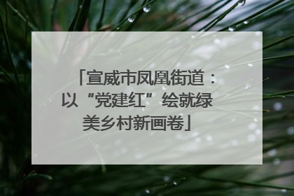 宣威市凤凰街道：以“党建红”绘就绿美乡村新画卷