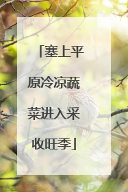 塞上平原冷凉蔬菜进入采收旺季