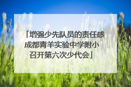 增强少先队员的责任感 成都青羊实验中学附小召开第六次少代会