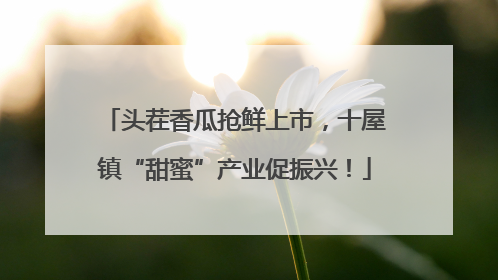 头茬香瓜抢鲜上市，十屋镇“甜蜜”产业促振兴！