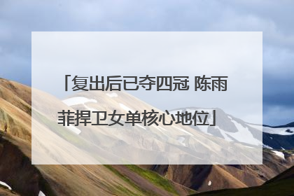 复出后已夺四冠 陈雨菲捍卫女单核心地位