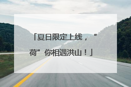 夏日限定上线，“荷”你相遇洪山！