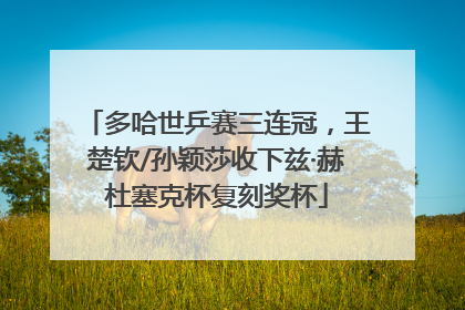 多哈世乒赛三连冠，王楚钦/孙颖莎收下兹·赫杜塞克杯复刻奖杯