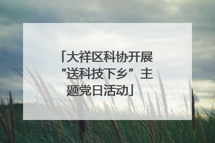 大祥区科协开展“送科技下乡”主题党日活动