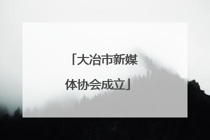 大冶市新媒体协会成立