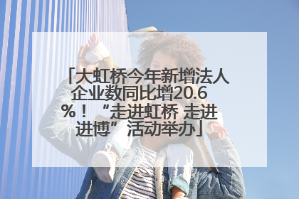 大虹桥今年新增法人企业数同比增20.6%！“走进虹桥 走进进博”活动举办