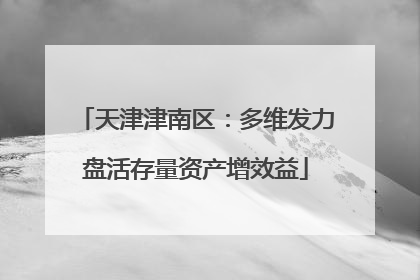 天津津南区：多维发力盘活存量资产增效益