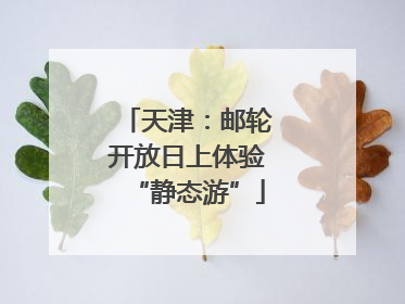 天津：邮轮开放日上体验“静态游”