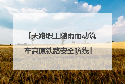 天路职工随雨而动筑牢高原铁路安全防线