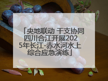 央地联动 干支协同 四川合江开展2025年长江-赤水河水上综合应急演练