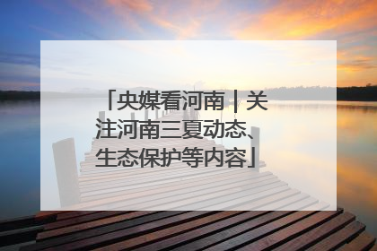 央媒看河南｜关注河南三夏动态、生态保护等内容
