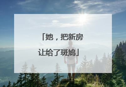 她，把新房让给了斑鸠