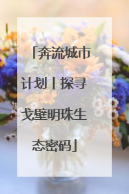 奔流城市计划丨探寻戈壁明珠生态密码