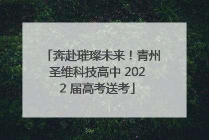 奔赴璀璨未来！青州圣维科技高中 2022 届高考送考