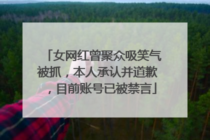 女网红曾聚众吸笑气被抓，本人承认并道歉，目前账号已被禁言
