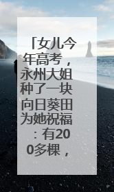 女儿今年高考，永州大姐种了一块向日葵田为她祝福：有200多棵，送了很多给其他家长