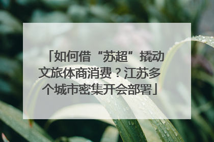 如何借“苏超”撬动文旅体商消费？江苏多个城市密集开会部署