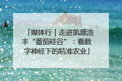 媒体行｜走进凯盛浩丰“番茄硅谷”：看数字神经下的精准农业