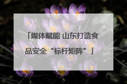 媒体赋能 山东打造食品安全“标杆矩阵”