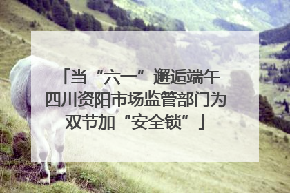 当“六一”邂逅端午 四川资阳市场监管部门为双节加“安全锁”