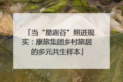 当“星露谷”照进现实：康旅集团乡村旅居的多元共生样本