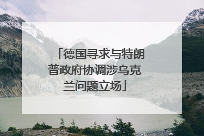德国寻求与特朗普政府协调涉乌克兰问题立场