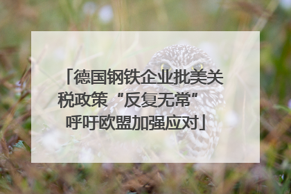 德国钢铁企业批美关税政策“反复无常” 呼吁欧盟加强应对