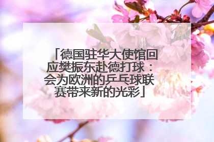 德国驻华大使馆回应樊振东赴德打球：会为欧洲的乒乓球联赛带来新的光彩