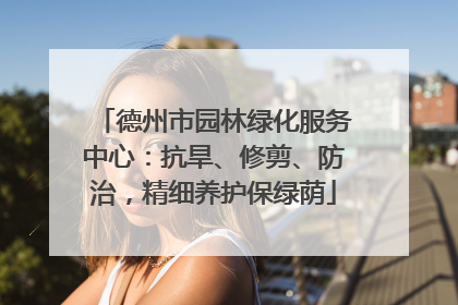 德州市园林绿化服务中心：抗旱、修剪、防治，精细养护保绿荫