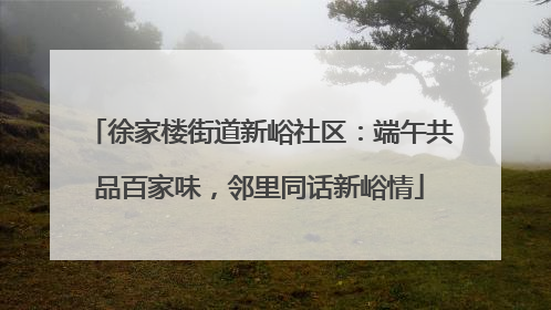 徐家楼街道新峪社区：端午共品百家味，邻里同话新峪情