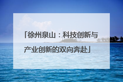 徐州泉山：科技创新与产业创新的双向奔赴