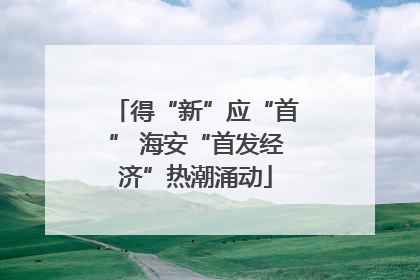 得“新”应“首” 海安“首发经济”热潮涌动