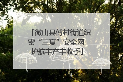 微山县傅村街道织密“三夏”安全网 护航丰产丰收季