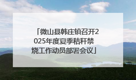 微山县韩庄镇召开2025年度夏季秸秆禁烧工作动员部署会议
