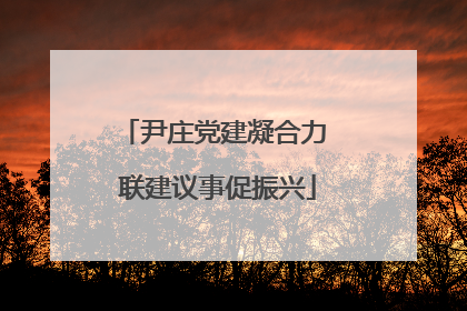 尹庄党建凝合力 联建议事促振兴